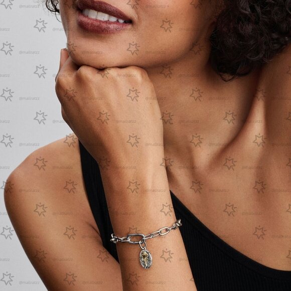 Pandora Rose Medallion Charm - Picture 5 of 5